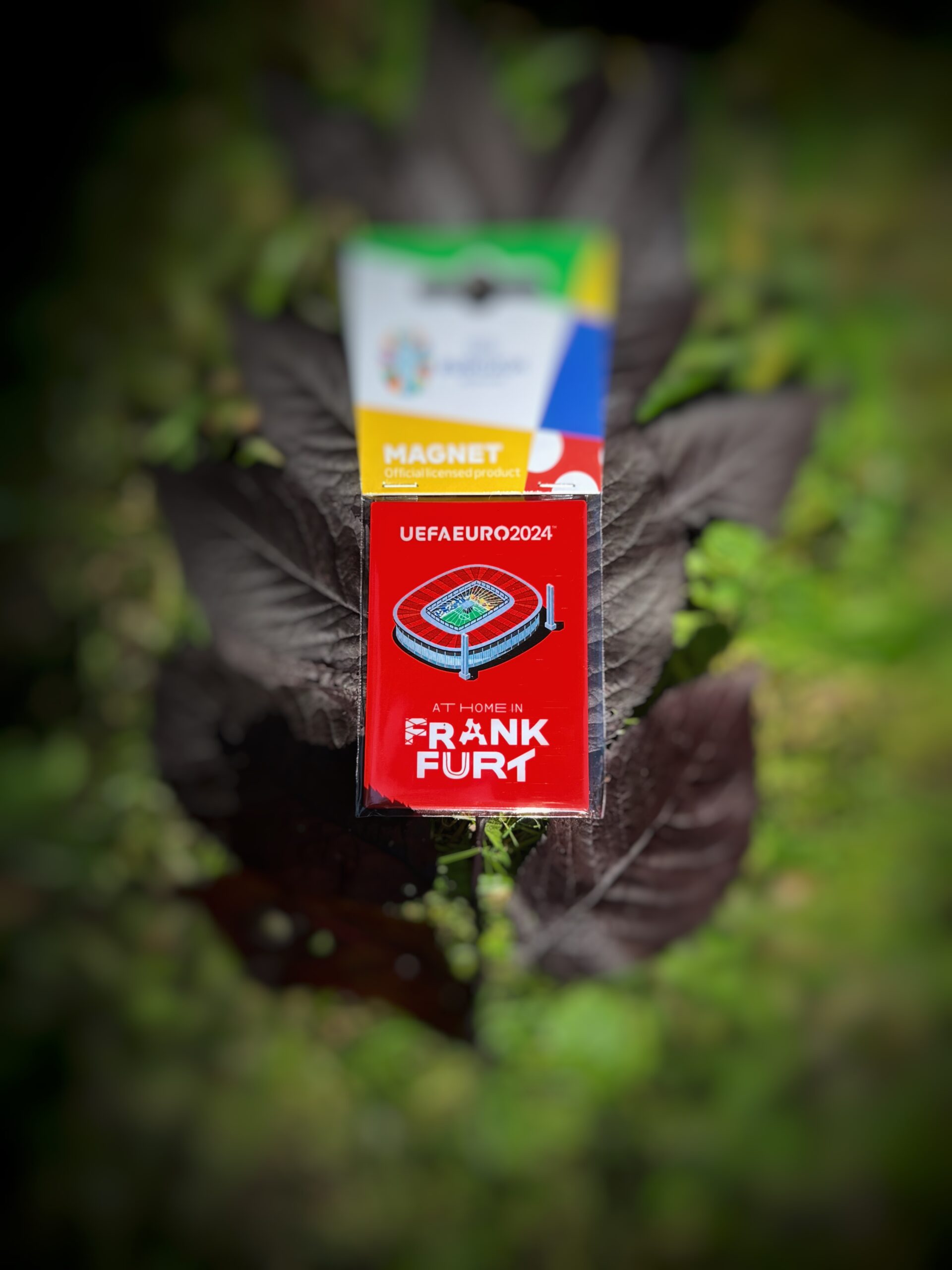 EURO 24 - Magnet Host City Frankfurt