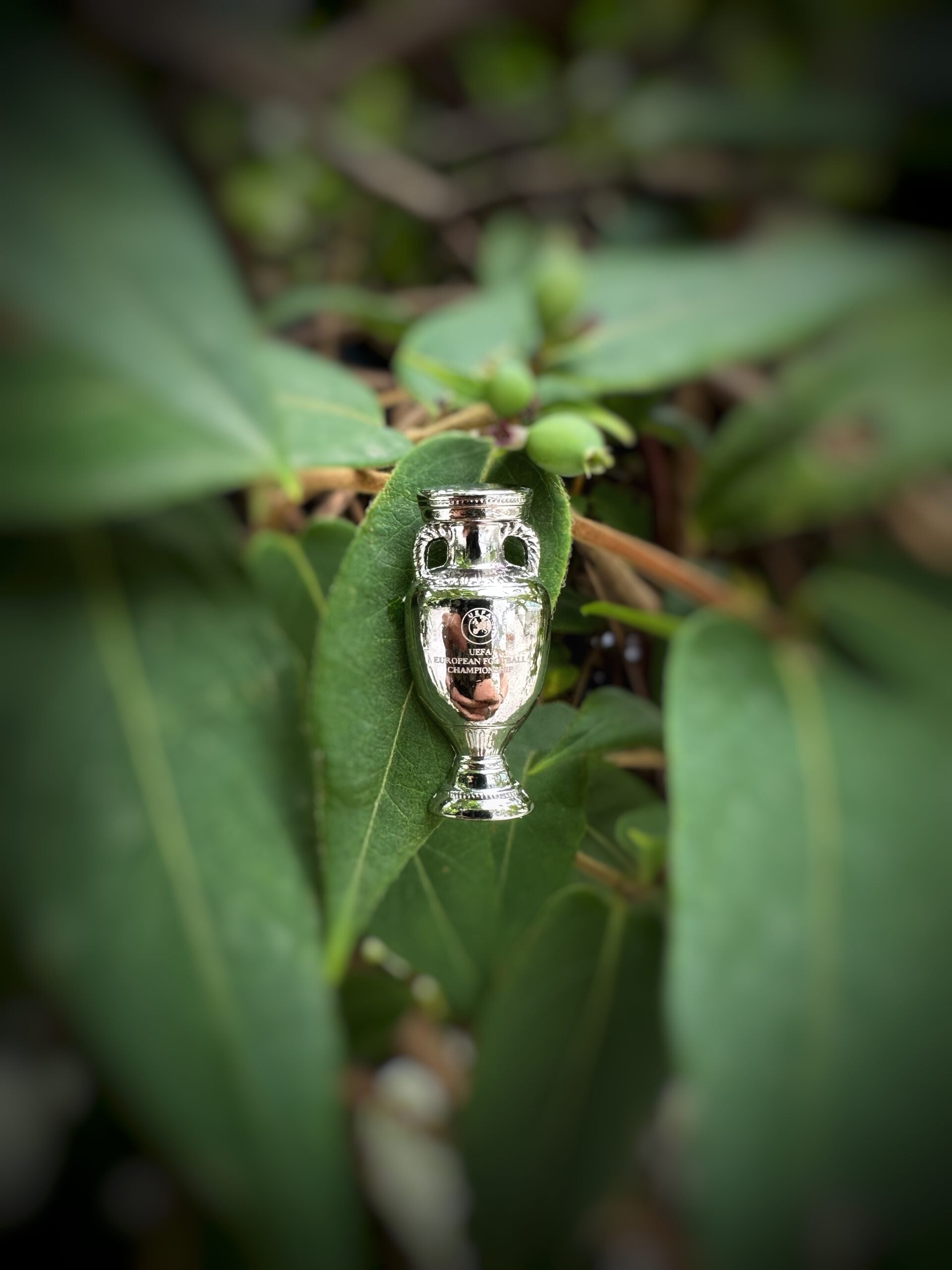 EURO 2024 - Pin Badge Trophy