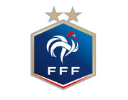 FFF - Pin Badge Logo Colored