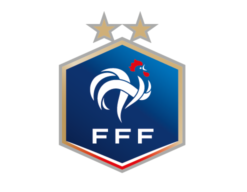 FFF - Pin Badge Logo Colored