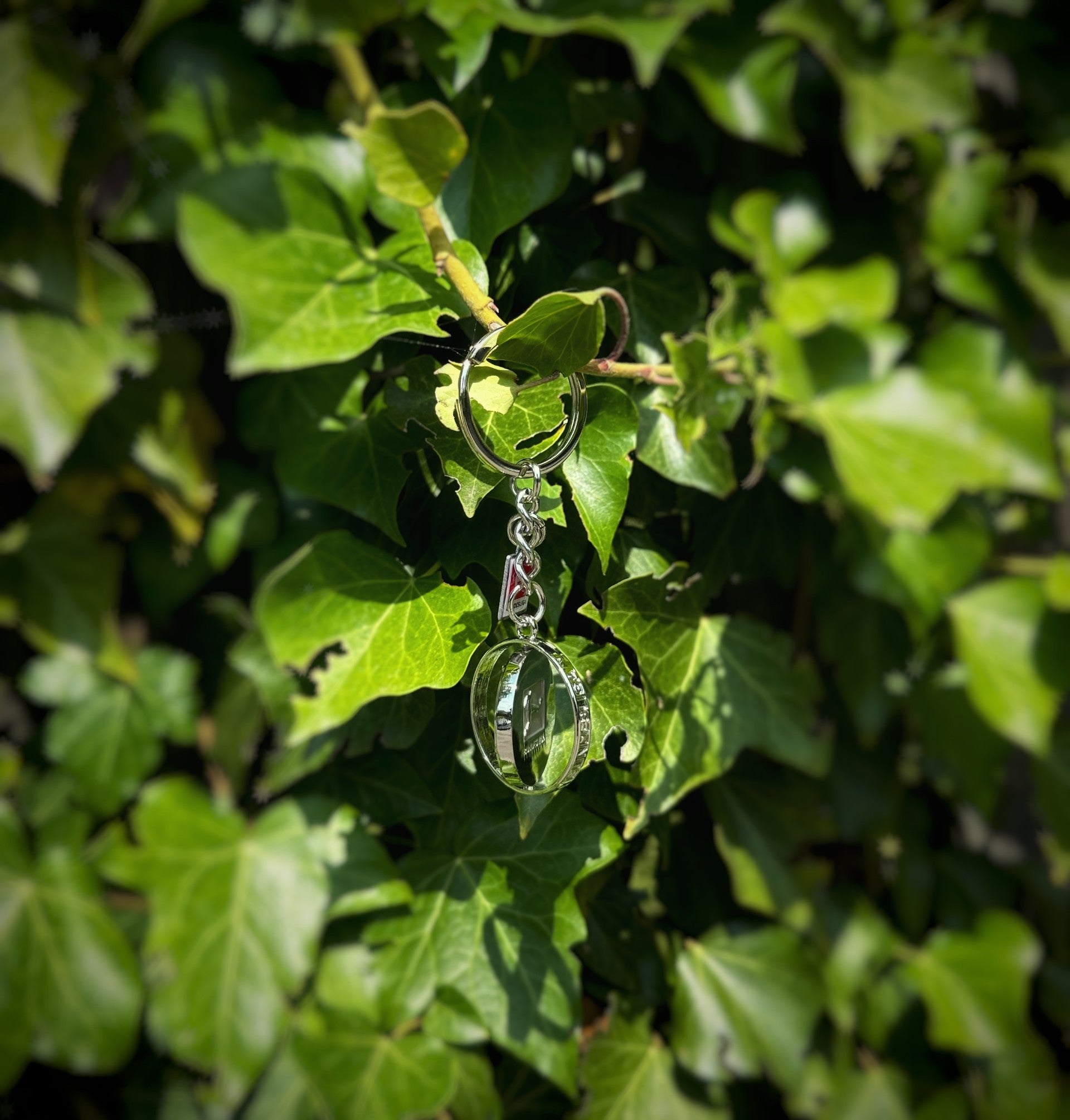 Bundesliga - Keyring "Meisterschale" with Logo Tag