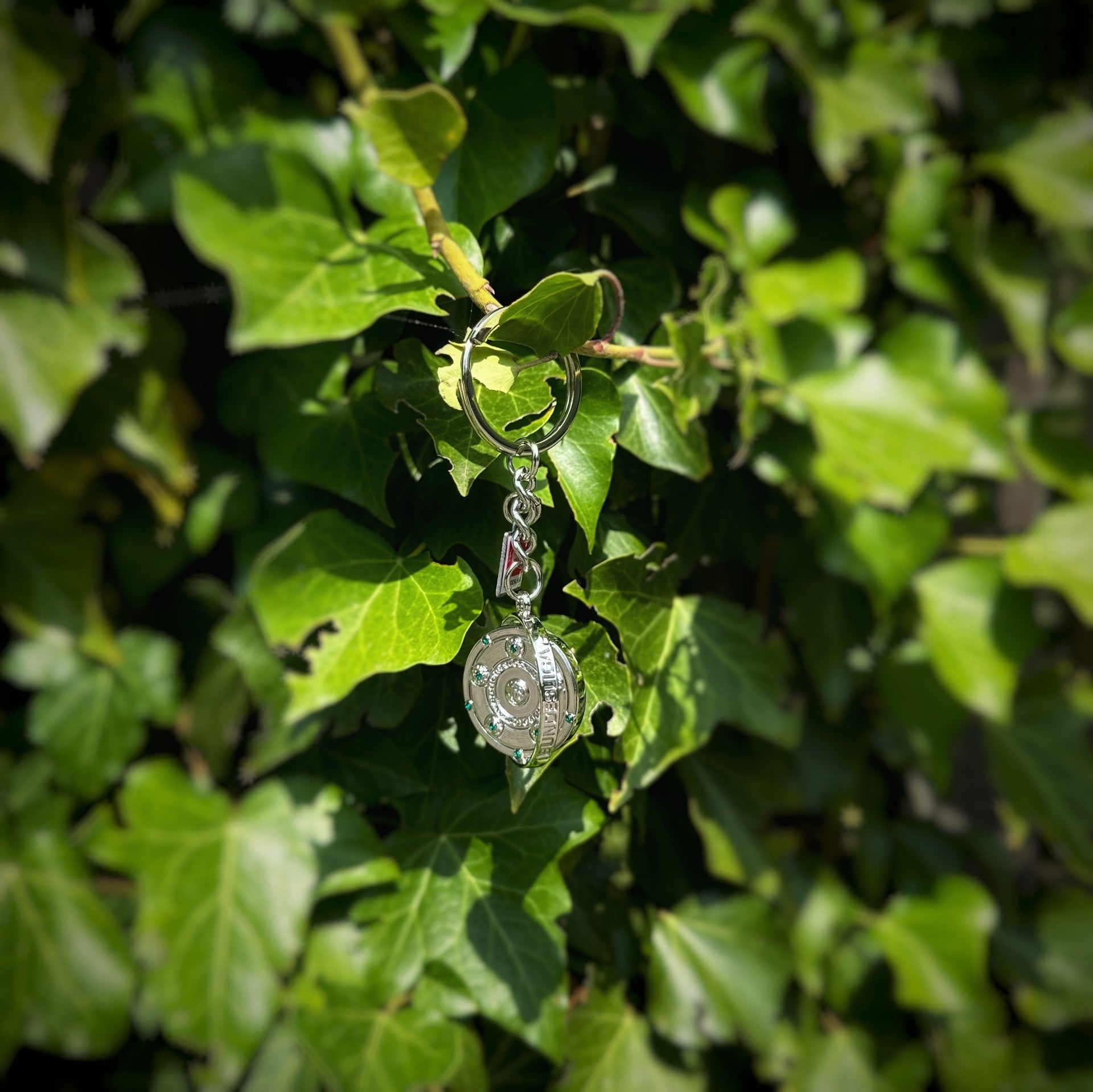 Bundesliga - Keyring "Meisterschale" with Logo Tag