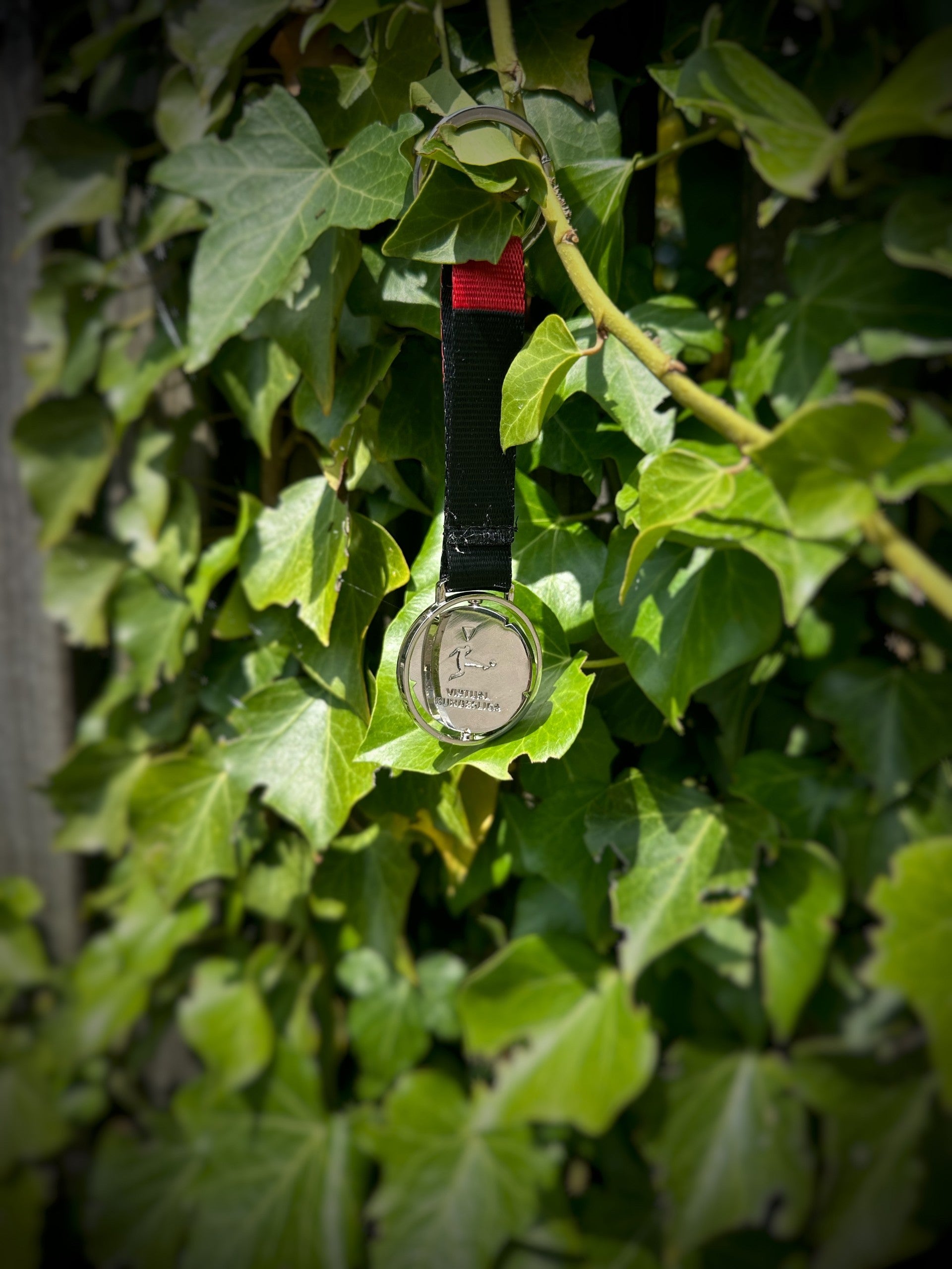 DFL - Virtual Bundesliga Keyring