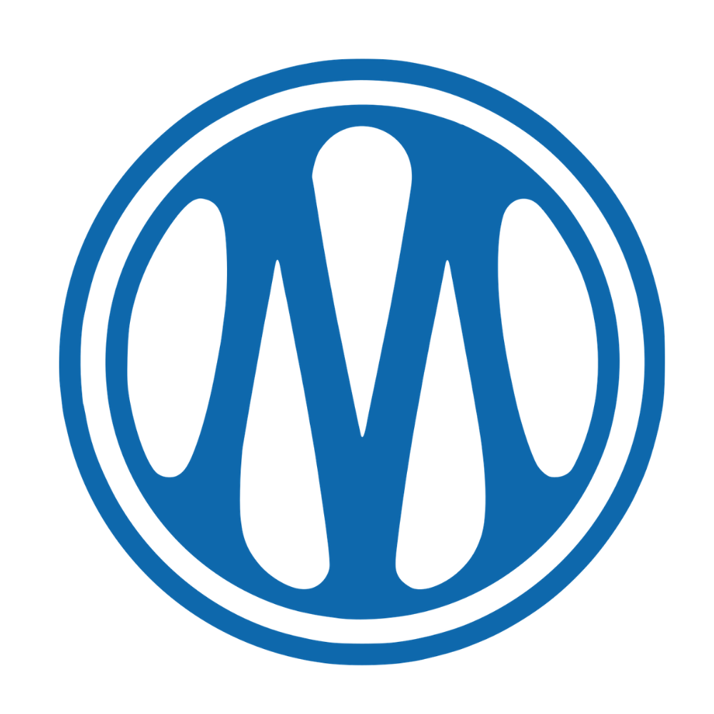 Olympique de Marseille