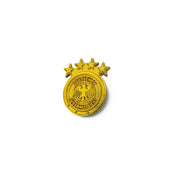 Perspektivische Ansicht des goldenen DFB Relief-Pins – edle 3D-Struktur aus Metall