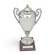 Am Ball Coupe Gambardella Trophäen-Nachbildung aus Zamak mit silbernem Finish und Holzsockel, 150 mm hoch