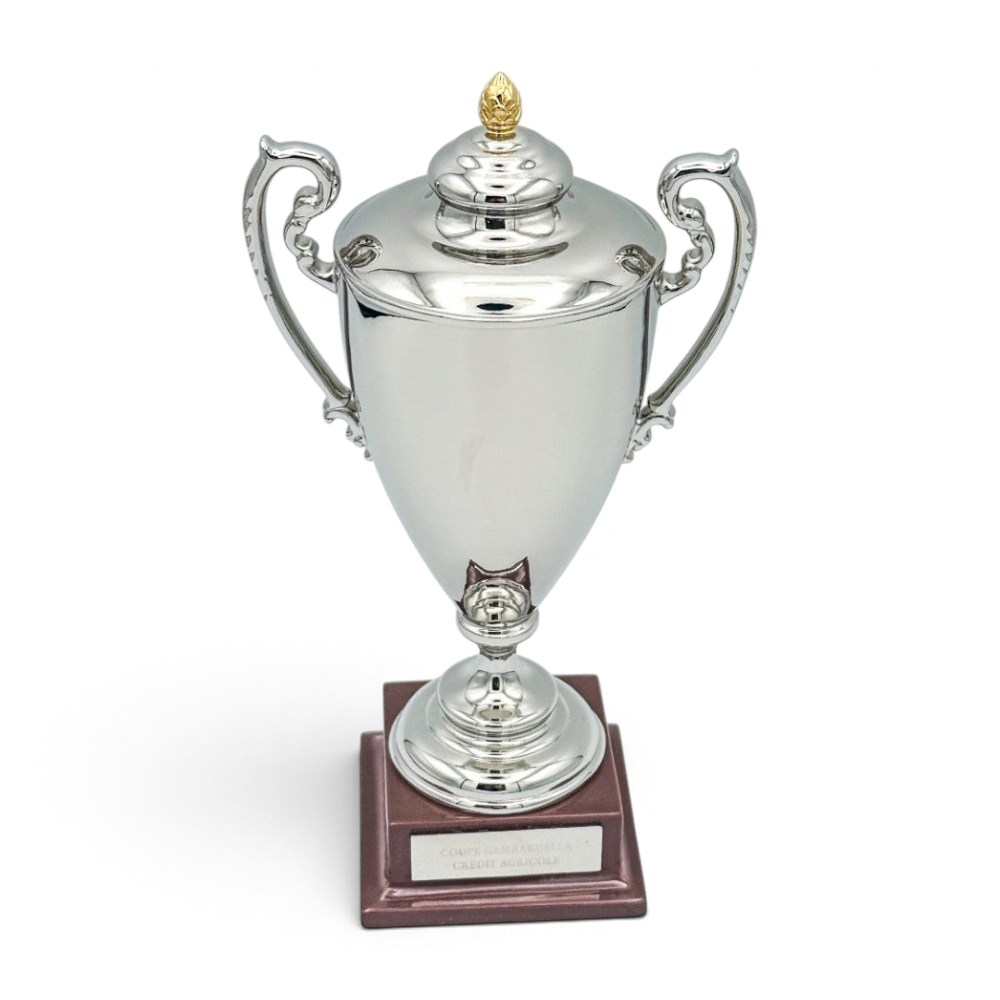 Am Ball Coupe Gambardella Trophäen-Nachbildung aus Zamak mit silbernem Finish und Holzsockel, 150 mm hoch