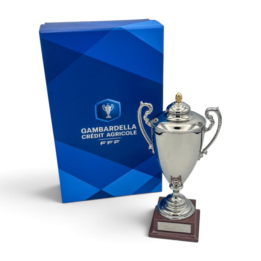 Am Ball Coupe Gambardella Trophäen-Nachbildung aus Metall auf Holzsockel mit offizieller blauer FFF-Geschenkbox